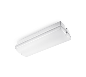 LCB LED Portieklamp Opaal Armatuur - IP66 - 3W 280Lm - CCT 830-840-865 Multi color Switch | 352 x 110MM