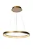 Lucide VIDAL Hanglamp Ø 58 cm LED Dimb. 1x48W 2700K Mat Goud / Messing Lucide VIDAL Hanglamp Ø 58 cm LED Dimb. 1x48W 2700K Mat Goud / Messing