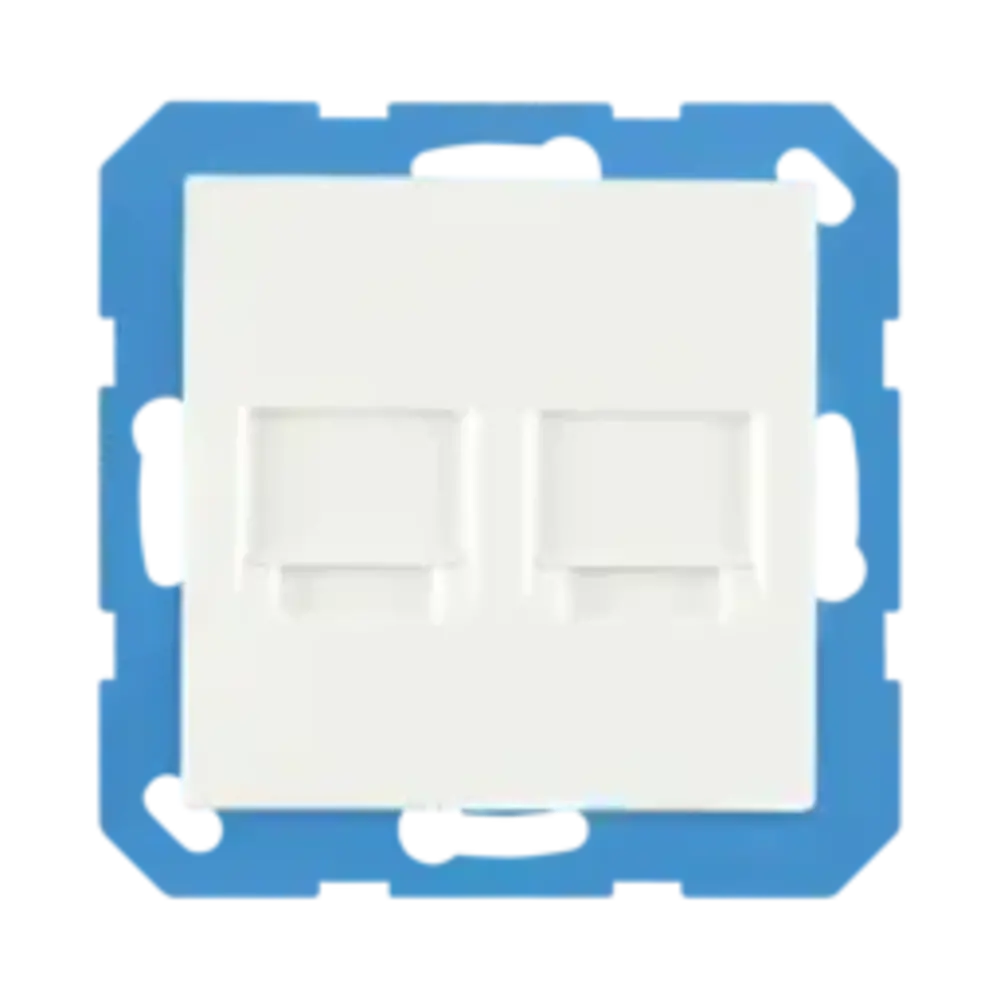 ION Industries Modular Jack 2-voudig met Centraalplaat V1/J1 | Alpin Wit ION Industries Modular Jack 2-voudig met Centraalplaat V1/J1 | Alpin Wit