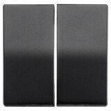 ION Industries V1/J1 opzetwip serie/wissel-wissel - Mat Zwart