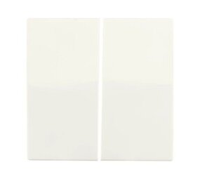 ION Industries Bedieningswip | Serieschakelaar V1/J1 Mat Alpin Wit | IP20