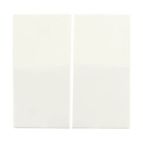 ION Industries Bedieningswip | Serieschakelaar V1/J1 Mat Alpin Wit | IP20