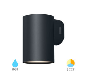 Braytron LED Wandlamp - Donker grijs- 9W CCT - IP65 - 78x99x115mm