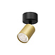 Braytron LED Plafondspot - GU10 fitting - 55x130mm - Goud - ronde plafondplaat Braytron LED Plafondspot - GU10 fitting - 55x130mm - Goud - ronde plafondplaat