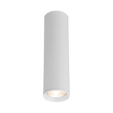 Braytron Braytron GAMA GU10 Opbouwspot - Wit - Ø55mm - 20cm Hoog - Aluminium - IP20