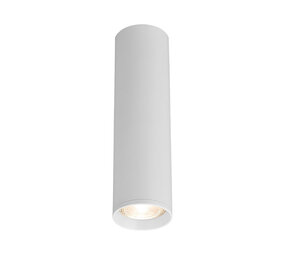 Braytron Braytron GAMA GU10 Opbouwspot - Wit - Ø55mm - 20cm Hoog - Aluminium - IP20