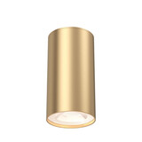 Braytron LED Plafondspot - GU10 fitting - 55x102mm - Goud