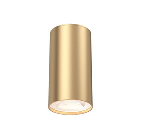 Braytron LED Plafondspot - GU10 fitting - 55x102mm - Goud Braytron LED Plafondspot - GU10 fitting - 55x102mm - Goud