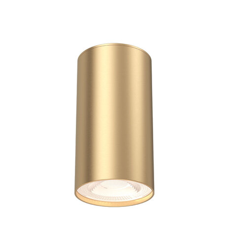 Braytron LED Plafondspot - GU10 fitting - 55x102mm - Goud Braytron LED Plafondspot - GU10 fitting - 55x102mm - Goud