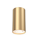 Braytron LED Plafondspot - GU10 fitting - 55x102mm - Goud Braytron LED Plafondspot - GU10 fitting - 55x102mm - Goud