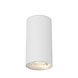 Braytron LED Plafondspot - GU10 fitting - 55x102mm - Mat wit Braytron LED Plafondspot - GU10 fitting - 55x102mm - Mat wit