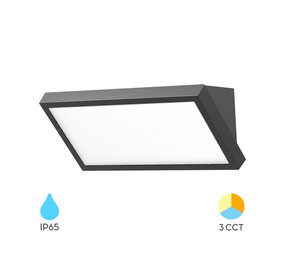 Braytron LED Wandlamp buiten - 20W 2000lm - Lichtkleur verstelbaar - IP65 Braytron LED Wandlamp buiten - 20W 2000lm - Lichtkleur verstelbaar - IP65