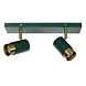 Lucide FLORIS Plafondspot-Groen-2xGU10-40W-Alumin. Lucide FLORIS Plafondspot-Groen-2xGU10-40W-Alumin.