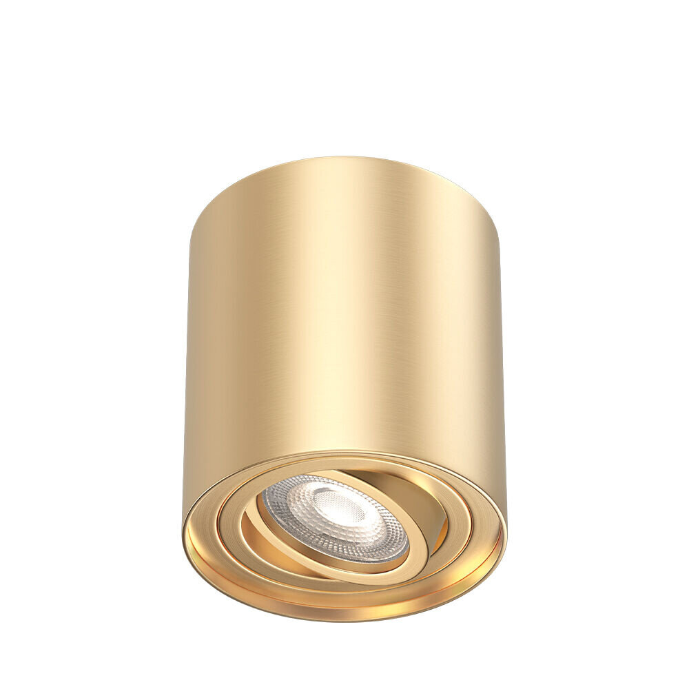 Braytron LED Opbouwspot Gama - 1xGU10 - IP20 - Ø80mm - Aluminium Goud - Kantelbaar Braytron LED Opbouwspot Gama - 1xGU10 - IP20 - Ø80mm - Aluminium Goud - Kantelbaar