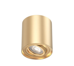 Braytron LED Opbouwspot Gama - 1xGU10 - IP20 - Ø80mm - Aluminium Goud - Kantelbaar Braytron LED Opbouwspot Gama - 1xGU10 - IP20 - Ø80mm - Aluminium Goud - Kantelbaar