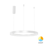 Braytron LED Hanglamp Bella Ring 36W 4260lm Wit Ø480mm Braytron LED Hanglamp Bella Ring 36W 4260lm Wit Ø480mm