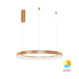 Braytron LED Hanglamp Bella Ring - 36W 4260lm - Ø480mm - CCT 3000K/4000K/6000K - Goud Braytron LED Hanglamp Bella Ring - 36W 4260lm - Ø480mm - CCT 3000K/4000K/6000K - Goud