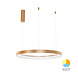 Braytron LED Hanglamp Bella Ring - 36W 4260lm - Ø480mm - CCT 3000K/4000K/6000K - Goud Braytron LED Hanglamp Bella Ring - 36W 4260lm - Ø480mm - CCT 3000K/4000K/6000K - Goud