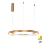 Braytron LED Hanglamp Bella Ring - 46W 4260lm - Ø580mm - CCT 3000K/4000K/6000K - Goud - A