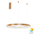 Braytron Op=Op LED Hanglamp Bella Ring - 46W 4260lm - Ø580mm - CCT 3000K/4000K/6000K - Goud - A Braytron Op=Op LED Hanglamp Bella Ring - 46W 4260lm - Ø580mm - CCT 3000K/4000K/6000K - Goud - A