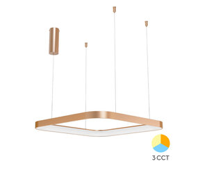 Braytron LED Hanglamp Bella Ring - 46W 4260lm - 580x580mm - CCT 3000K/4000K/6000K - Goud - A Braytron LED Hanglamp Bella Ring - 46W 4260lm - 580x580mm - CCT 3000K/4000K/6000K - Goud - A