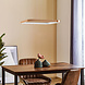 Braytron LED Hanglamp Bella Ring - 46W 4260lm - 580x580mm - CCT 3000K/4000K/6000K - Goud - A Braytron LED Hanglamp Bella Ring - 46W 4260lm - 580x580mm - CCT 3000K/4000K/6000K - Goud - A