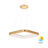 Braytron LED Hanglamp Bella Ring - 46W 4260lm - 580x580mm - CCT 3000K/4000K/6000K - Goud - B