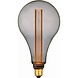 Freelight OP=OP 5W LED lange peer 16,5cm E27 1800K 3 st. memory Freelight OP=OP 5W LED lange peer 16,5cm E27 1800K 3 st. memory