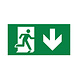 Braytron LED Noodverlichting Pictogram - Exit met pijl omlaag - Sticker Braytron LED Noodverlichting Pictogram - Exit met pijl omlaag - Sticker