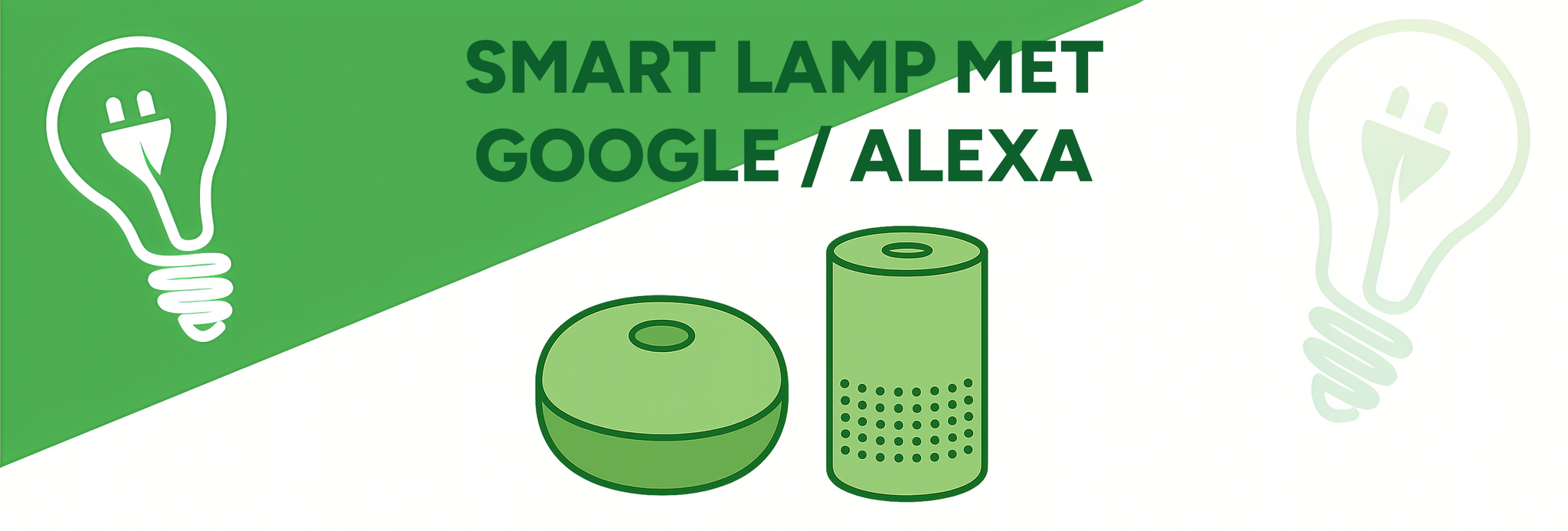 Hoe verbind ik mijn smart lampen met Google Home of Alexa?