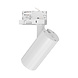 Braytron LED Railspot - Wit - 15W 1560lm - 3CCT 3000K/4000K/6000K | 3-Fase universeel Braytron LED Railspot - Wit - 15W 1560lm - 3CCT 3000K/4000K/6000K | 3-Fase universeel