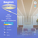 Braytron LED Strip - 50m - 220-240V - 12W 1250lm p/m - 6500K Daglicht Wit - COB - IP65 | 2 Jaar garantie Braytron LED Strip - 50m - 220-240V - 12W 1250lm p/m - 6500K Daglicht Wit - COB - IP65 | 2 Jaar garantie