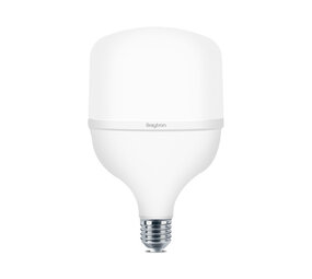Braytron LED Lamp - E27 T120 - 38W 4260lm - 3000K Warm Wit | Vervangt 250W Braytron LED Lamp - E27 T120 - 38W 4260lm - 3000K Warm Wit | Vervangt 250W