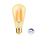 lcb led europe LED Filament lamp dimbaar - E27 ST64 - 6W vervangt 60W - 2200K extra warm wit licht - Tall