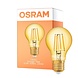 Ledvance OSRAM Vintage 1906 LED E27 Peer Filament Goud 6.5W 725lm 824 Zeer Warm Wit Dimbaar