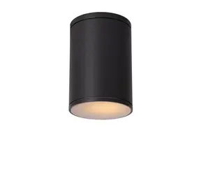 Lucide Lucide TUBIX plafondlamp buiten E27 IP44 rond Lucide Lucide TUBIX plafondlamp buiten E27 IP44 rond