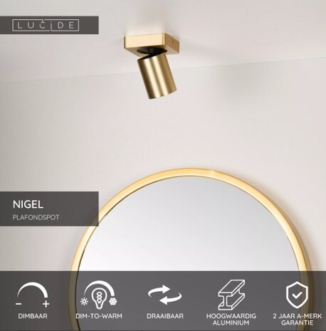 Lucide LED Opbouwspot Nigel Mat Goud GU10 5W 2200K Dimbaar