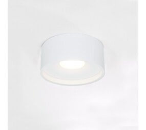 Artdelight designverlichting Plafondspot Dimbaar IP54 - Rond Wit - 10W 720Lm - 2700K 927 Warm Wit | Triac Dimbaar - Aluminium