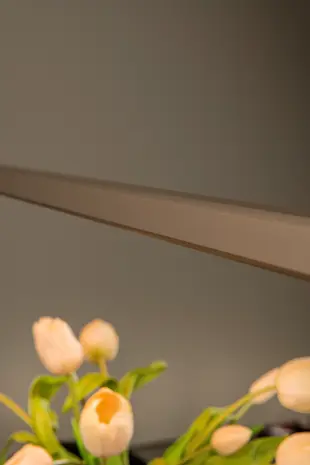Lucide OP=OP Dimbare Bureaulamp Pendel - 150cm - 36W 2450Lm - 2CCT 2700- 4000K 927-940 - BRAGA Donker brons Koffie | Handbewegingssensor Lucide OP=OP Dimbare Bureaulamp Pendel - 150cm - 36W 2450Lm - 2CCT 2700- 4000K 927-940 - BRAGA Donker brons Koffie | Handbewegingssensor