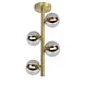 Lucide OP=OP TYCHO - Plafonnière - Ø 22,5 cm - 4xG9 - Mat Goud / Messing Lucide OP=OP TYCHO - Plafonnière - Ø 22,5 cm - 4xG9 - Mat Goud / Messing