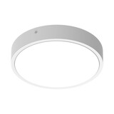 Ledvance LED Bulkhead Surface 300 Wit - Multi Lumen 17W-10W 2040lm-1200lm | 2CCT 3000K-4000K| IK10 |  IP65