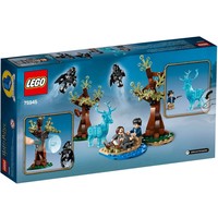 LEGO® Harry Potter Expecto Patronum 75945