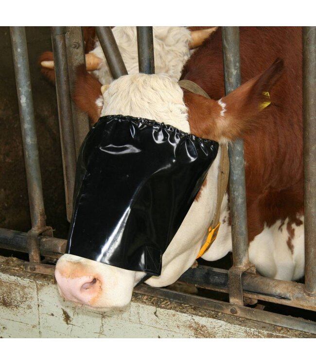 Viehblende mit Elastikseil