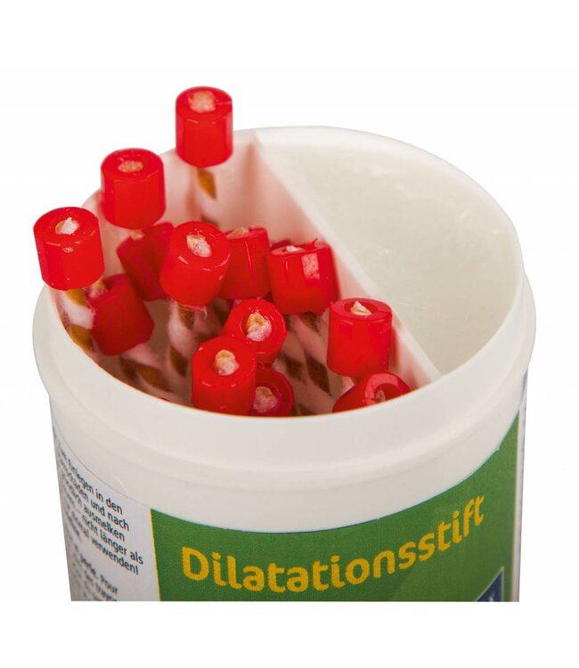 Dilatationsstift