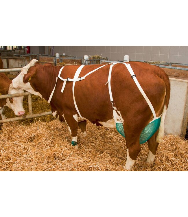 Zitzenschutz mit Nackengurt