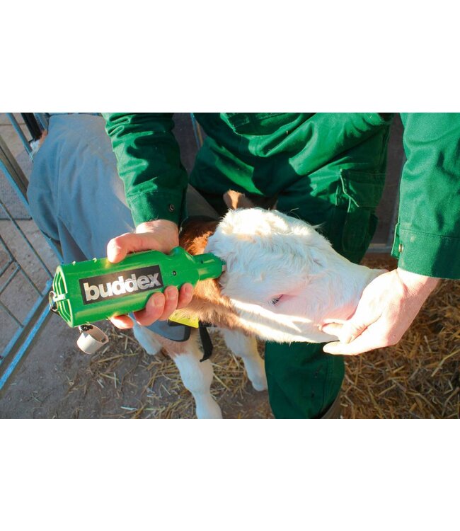 Akku-Enthorner buddex