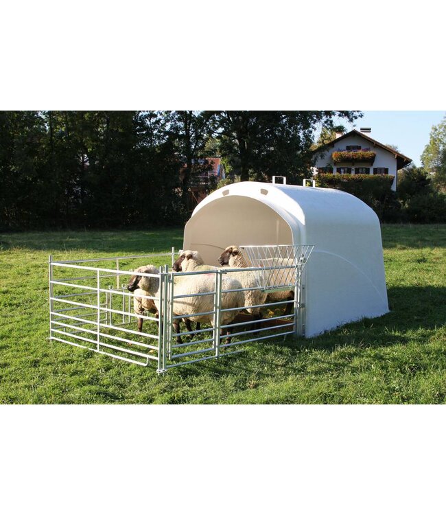 CalfHouse Premium 4/5