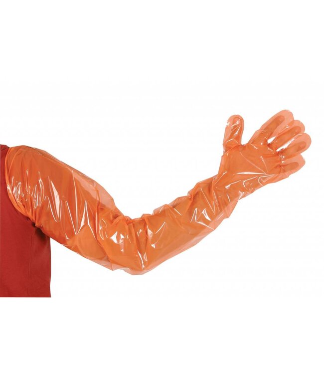 Einmalhandschuhe VETbasic