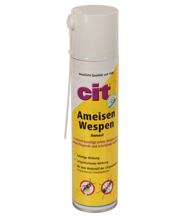 Cit Ameisen - Wespen *