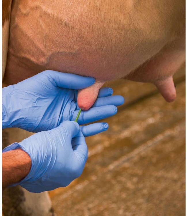 Silikon Zitzenstifte